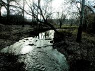 Маломиколаївка з panoramio.com