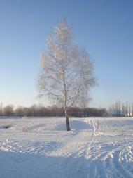 Dobre - Latest photos