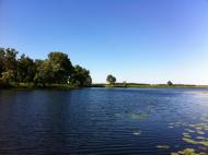 Дорошівка з panoramio.com