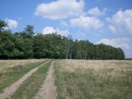 Кузьминці з panoramio.com