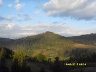 Орявчик з panoramio.com