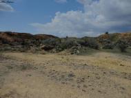 Жовтокам'янка з panoramio.com