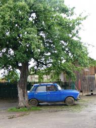 Карпи з panoramio.com