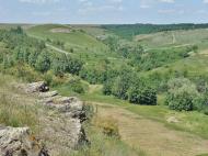 Русько-Орлівка з panoramio.com - Русско-Орловка
