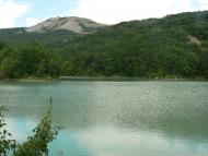 Ворон з panoramio.com - Ворон