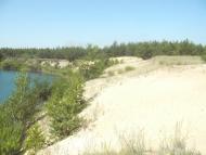 Діброва з panoramio.com