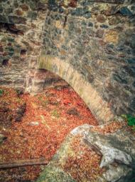 Токарівка з panoramio.com