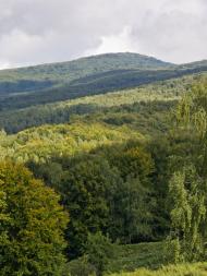 Ільниця з panoramio.com