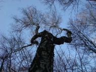 Петрівське з panoramio.com