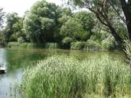 Андріївка з panoramio.com