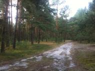 Волиця з panoramio.com