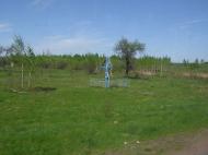 Березівка - Останні фото