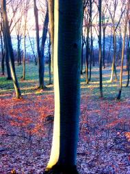 Демня з panoramio.com