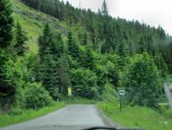 Орявчик з panoramio.com