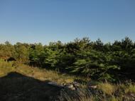 Лиманне з panoramio.com