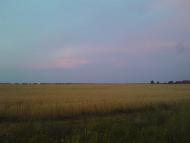 Войкове з panoramio.com