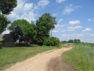 Розвинівка з panoramio.com