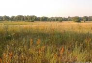 Бурківка з panoramio.com