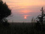 Хомине з panoramio.com