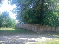 Киріївка з panoramio.com