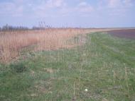 Райківщина з panoramio.com