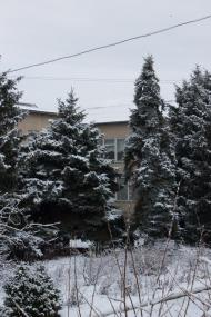 Випасне з panoramio.com