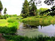 Старосілля з panoramio.com