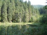 Нижній Яловець з panoramio.com