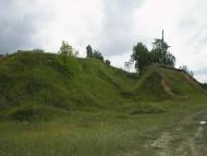 Кулики з panoramio.com