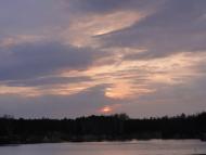 Діброва з panoramio.com