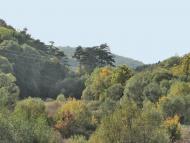 Шатава з panoramio.com