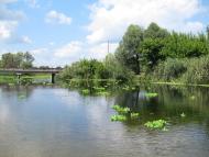 Черкаський Бишкин з panoramio.com