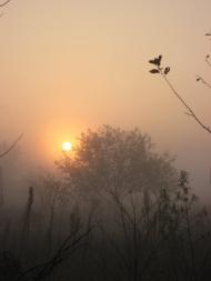 Масківці з panoramio.com