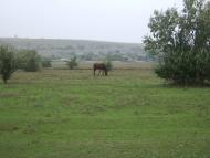 Калачівка з panoramio.com