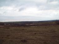 Воронівка з panoramio.com