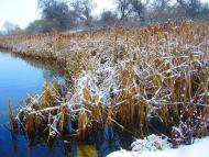 Вільноуланівське з panoramio.com