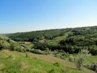 Грушка з panoramio.com