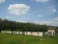 Карасиха з panoramio.com