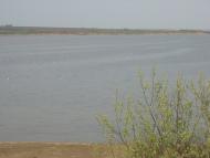 Паліївка з panoramio.com