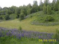 Іваньків з panoramio.com