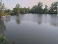 Кошляки з panoramio.com