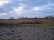 Блудше з panoramio.com