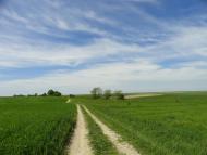 Хорохорин з panoramio.com