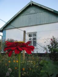 Новеньке з panoramio.com