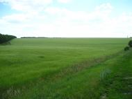 Журівка з panoramio.com