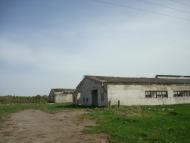 Вівчицьк з panoramio.com