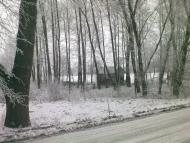 Нова Романівка з panoramio.com