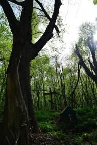 Луциківка з panoramio.com