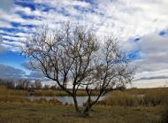 Дніпровка з panoramio.com