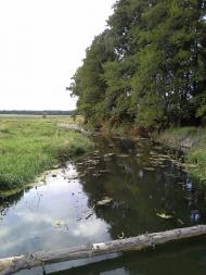 Скригалівка з panoramio.com